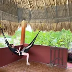 Black Jaguar Hostel