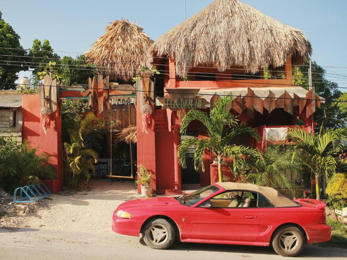 Black Jaguar Guest house